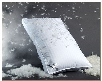 PILLOW "LA DUVETEUSE"